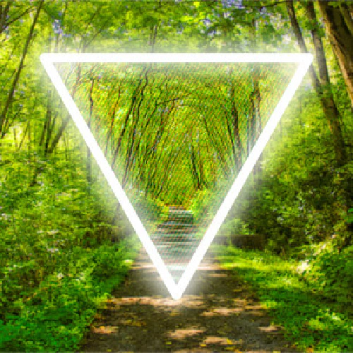 /../assets/images/posts/music/2019-08.jpeg