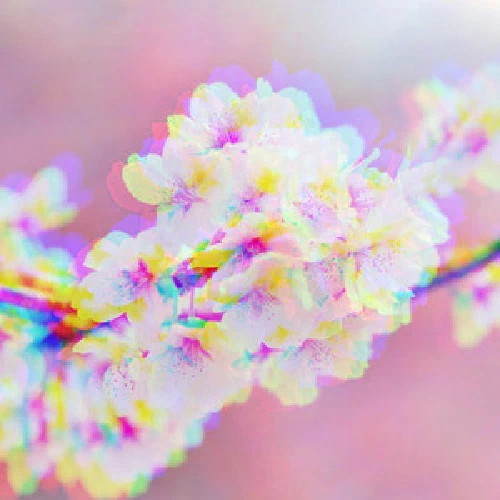 /../assets/images/posts/music/2020-04.jpeg